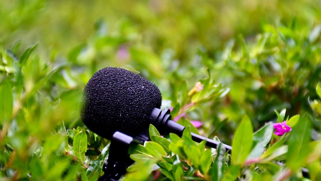 Journalist with microphone conducting field interview